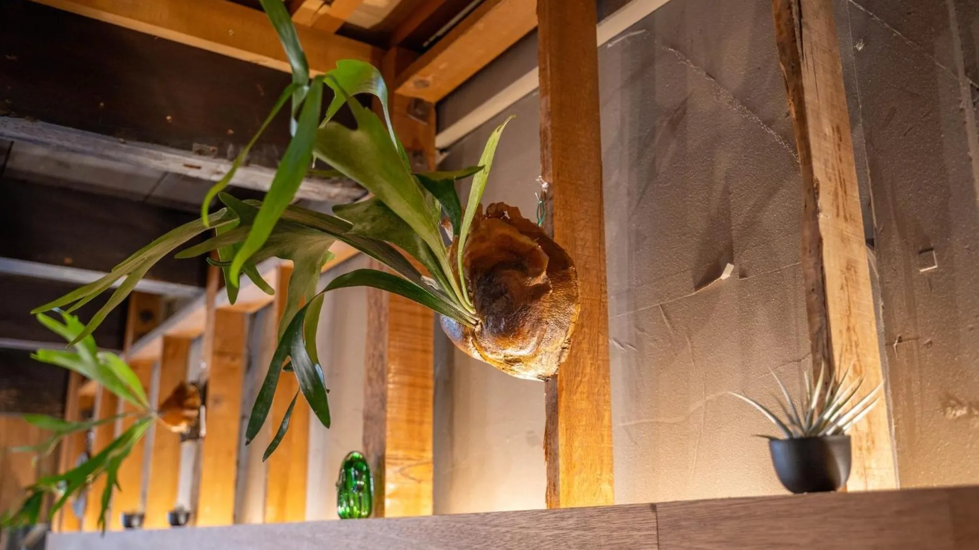 1St And 2Nd Floors - Vacation Stay 18640 Οσάκα Ιαπωνία